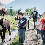 Chalet-karwendel Terfens