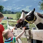 Chalet-karwendel * Terfens