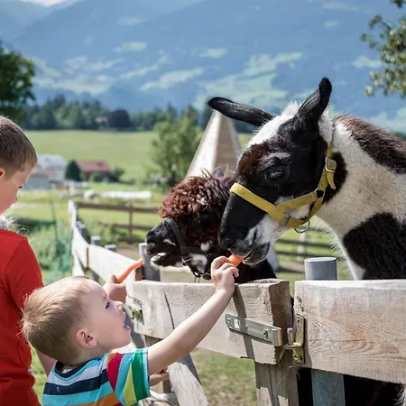 Chalet-karwendel * Terfens