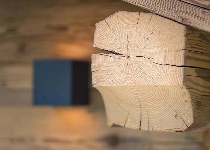 Chalet Chalet-karwendel Terfens