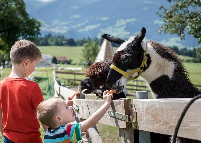 Chalet-karwendel * Terfens