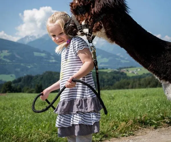 Chalet-karwendel Chalet *